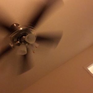 Meet your Posher, Elsa